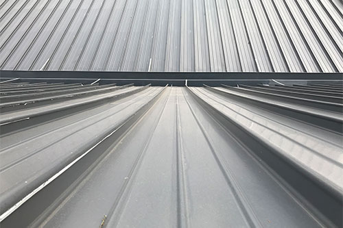 教育類項目&mdash;&mdash;東華大學屋面